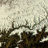 NASA ID: STS002-13-267 (Himalaya-Gebirge, Indien)