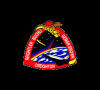 Patch: STS-48