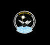 Patch: STS-51F