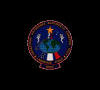 Patch: STS-86