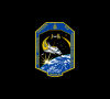 Patch: STS-126